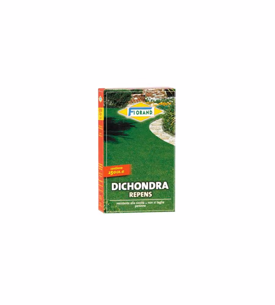 Florand Sementi Prato Dicondra - Resistente Siccità - 250 g
