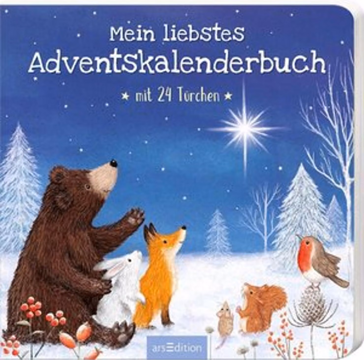 Il mio libro preferito tra tutti i calendari dell'Avvento