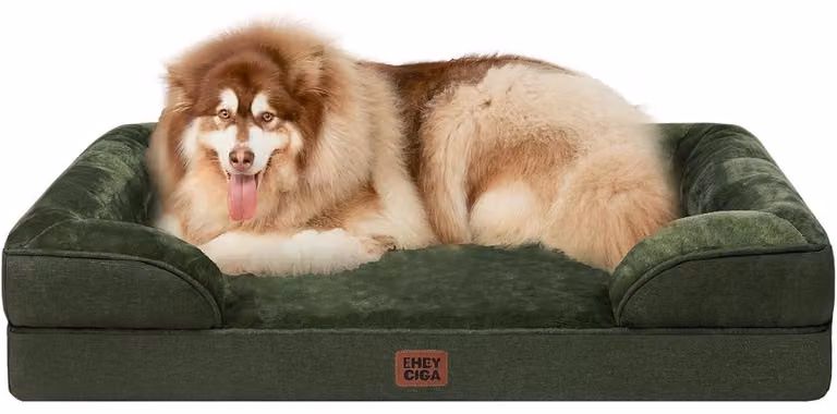 Cuccia ortopedica per cani, taglia XXL, 132x104 cm, realizzata in memory foam, colore verde scuro, lavabile, impermeabile e antiscivolo