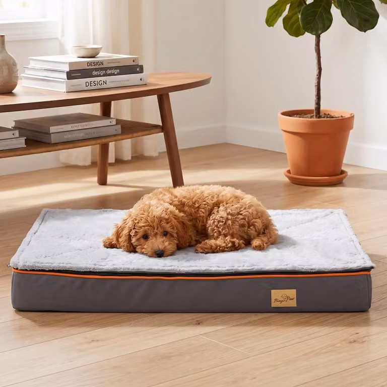 Cuccia ortopedica per cani WISFOR, tappetino imbottito per cani, soffice e stabile, con rivestimento removibile e lavabile, taglia M: 80 x 50 x 8 cm