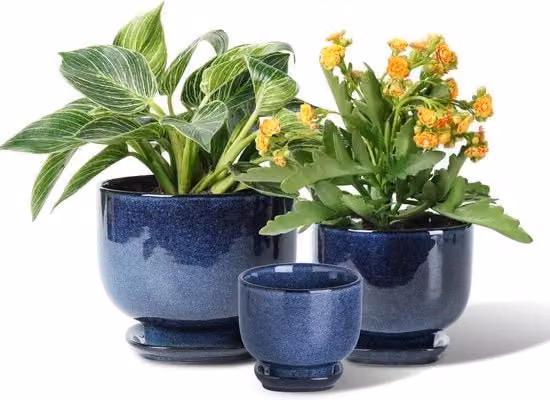 Set di 3 vasi in ceramica Vicrays blu per piante da interno, succulente e fiori