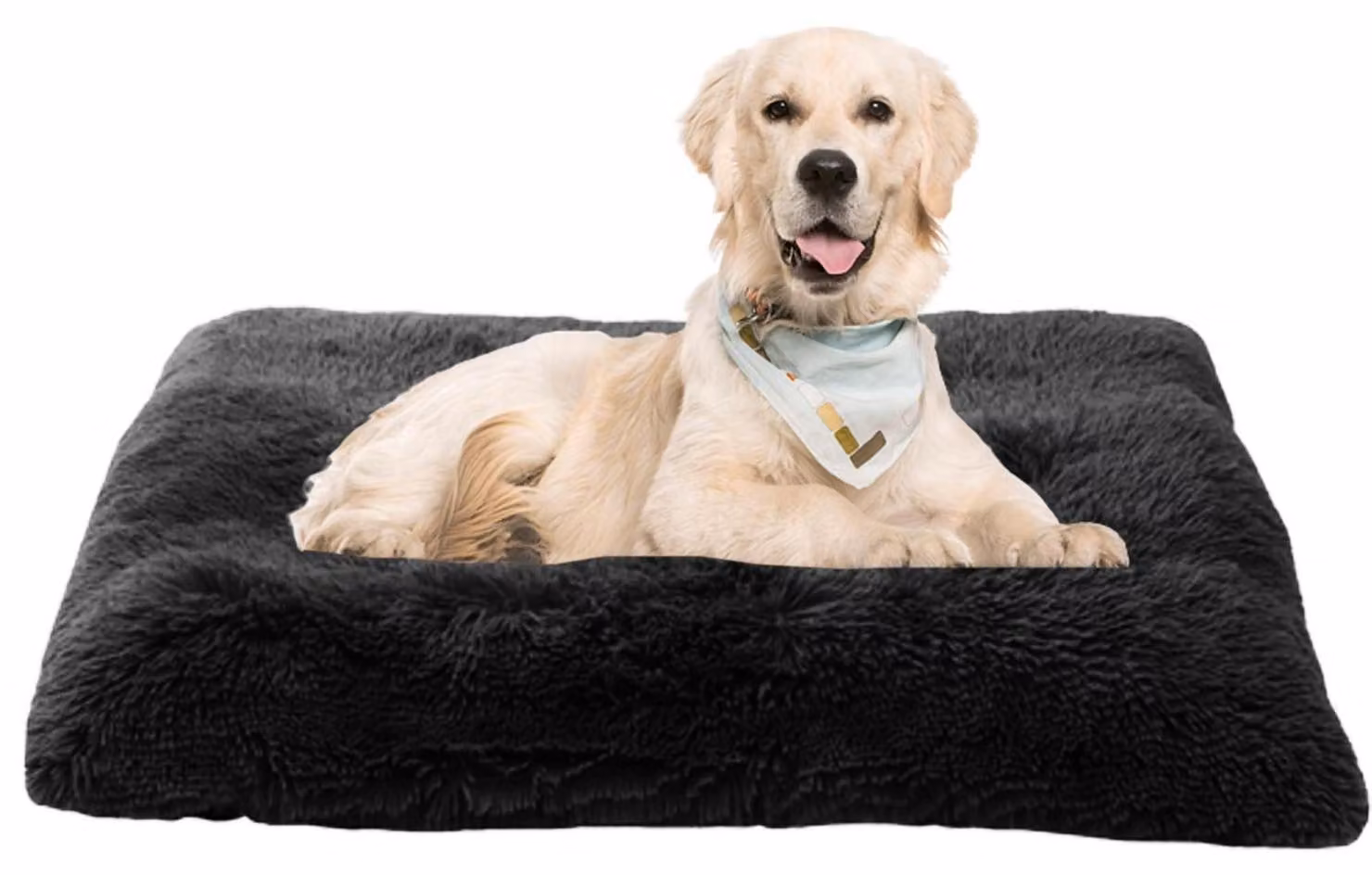 Materassino per cani, cuccia per gatti, divano per cani, cuscino per cani, cesta per cani, tappetino per cani, lavabile, nero, 100x70x10 cm