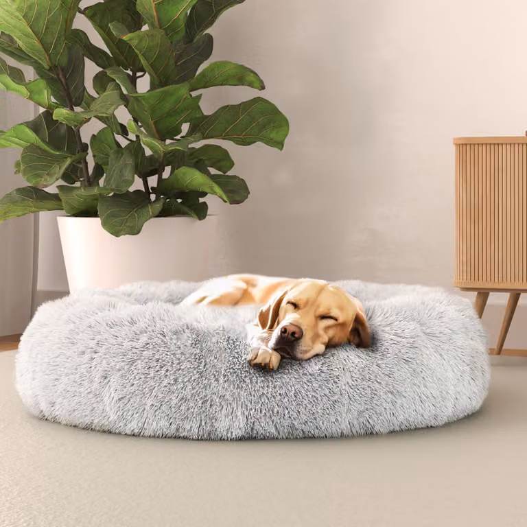 Lenzuolo per letto italiano, cuccia per cani "Dreams", collezione "Sogni e capricci", articoli per animali domestici, creme, 70x70 cm