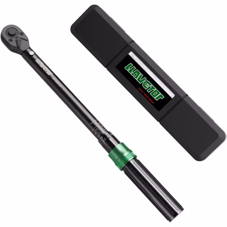 Chiave dinamometrica da 3/8 di pollice, 10-60 Nm, 72 denti, con cricchetto reversibile, precisione ±3%, adatta per biciclette e motociclette