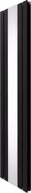 Radiatore a Specchio a Doppia Colonna Verticale Nero 1800mm x 425mm