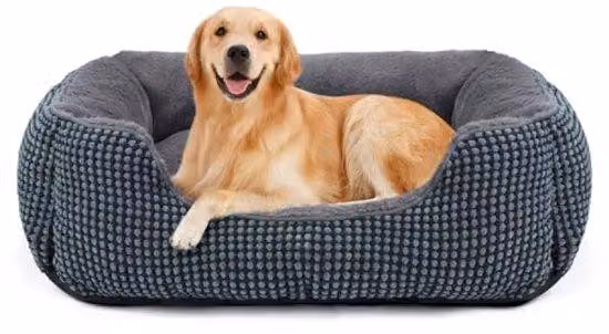Letto grande per cani con bordo rialzato – Lavabile e antiscivolo – Adatto a cani e gatti