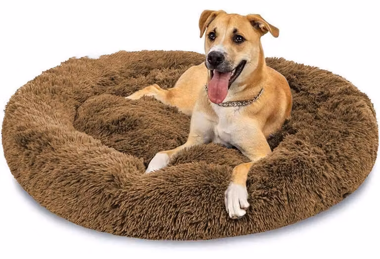 Cuccia per cani, lavabile, ortopedica, taglia XXL, colore marrone, forma rotonda