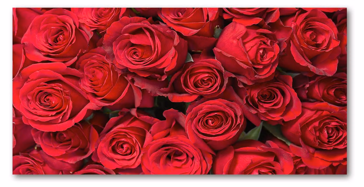 Pannello protettivo per cucina Tulup® in vetro temperato - 100x50 - Protezione anti-schizzi, decorazione: fiori e piante, rose rosse