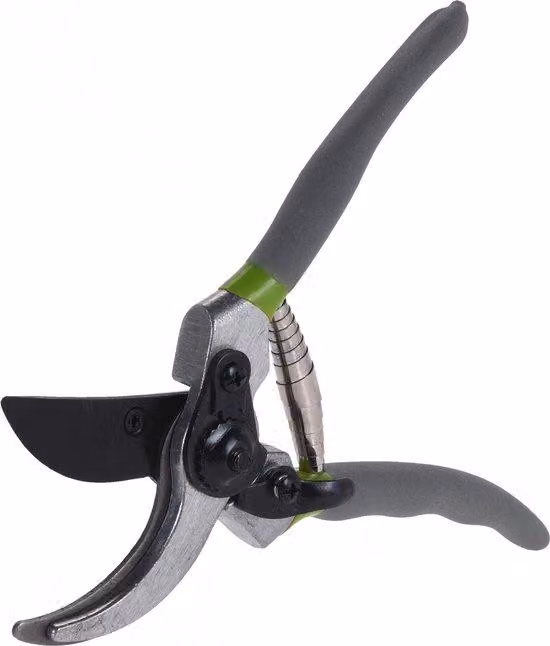 forbici da potatura 20 cm acciaio/PP argento/grigio