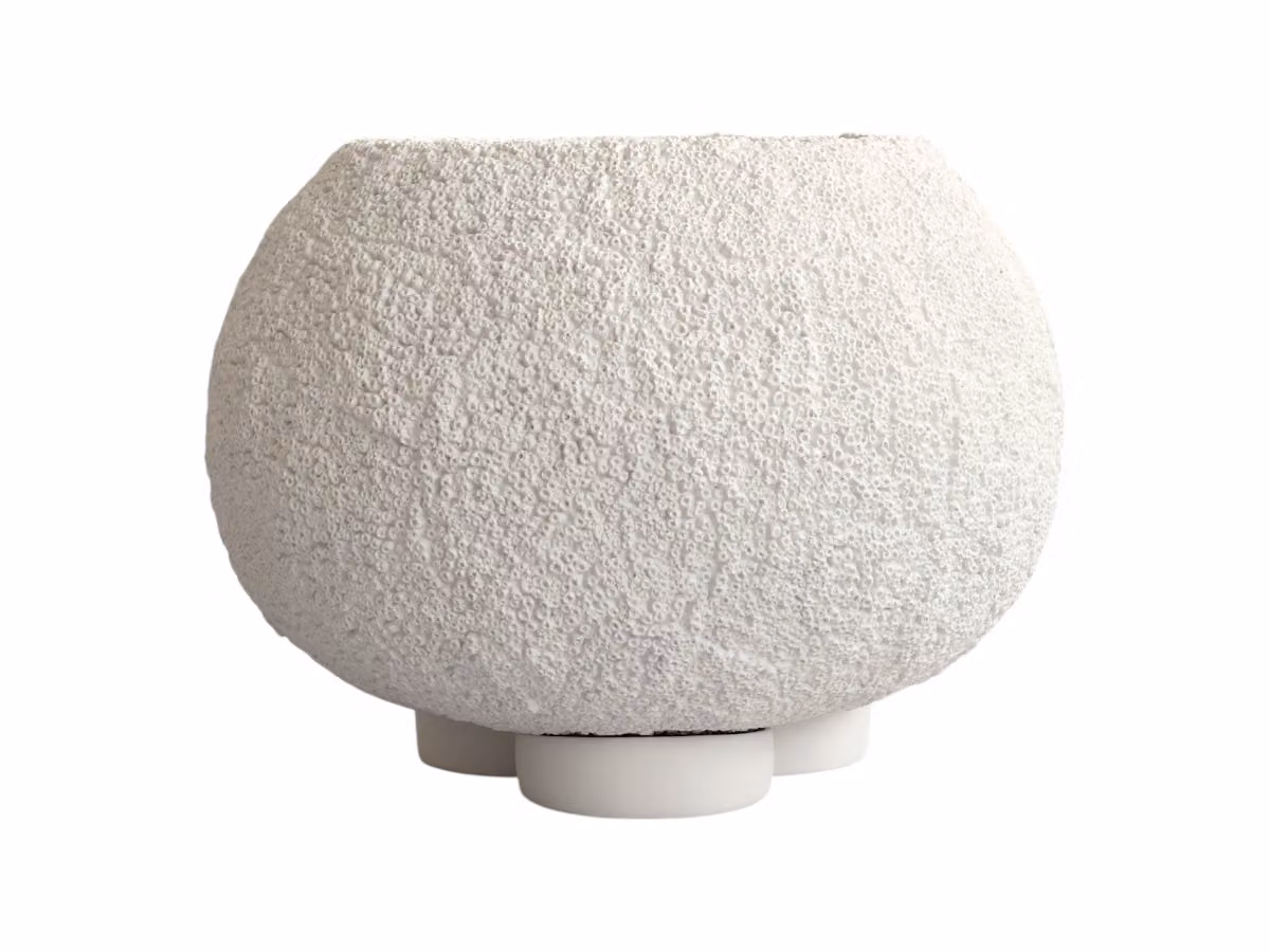 Urchin Portapiante - Beehive