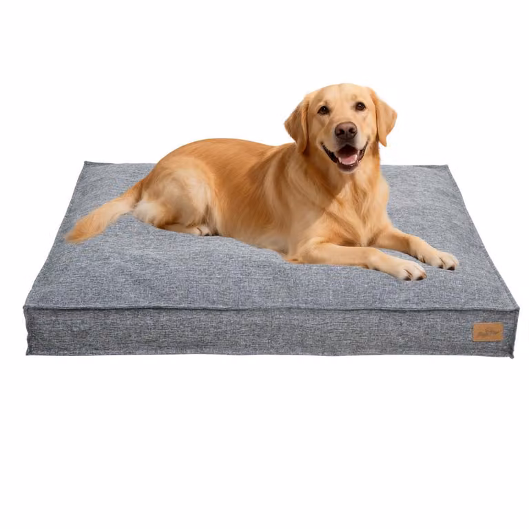 WISFOR Lettino per cani, divanetto per cani, cuscino per cani, antiscivolo, rivestimento sfoderabile e lavabile, 2XL: 118 x 89 x 12 cm, grigio