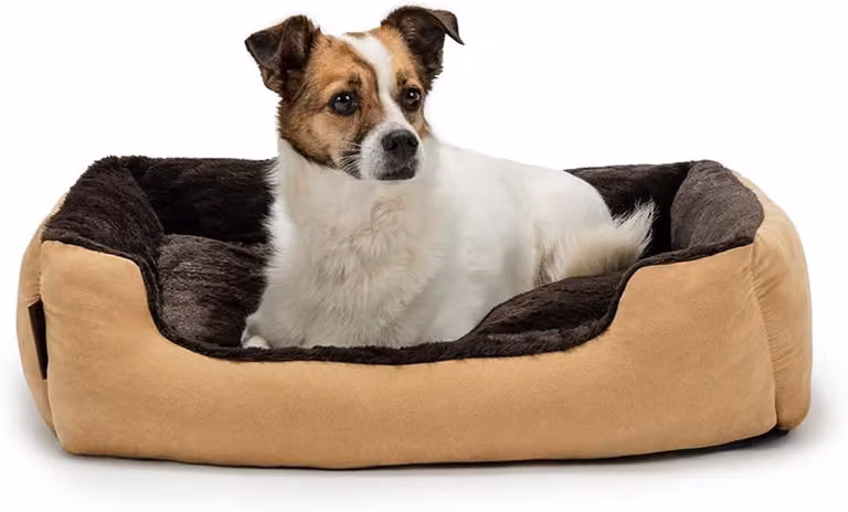 Cuccia per cani con cuscino reversibile, nei colori marrone e beige, con base antiscivolo, per uso interno