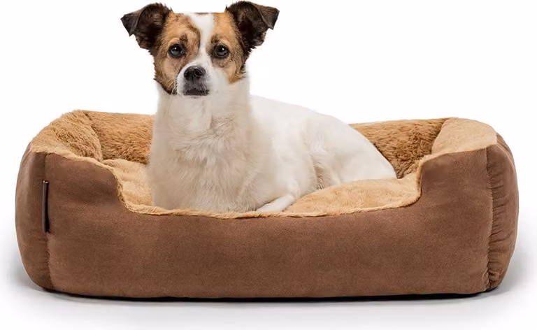 lettino per cani lionto, morbido lettino con cuscino reversibile rimovibile e base antiscivolo, 60x48 cm, marrone/beige