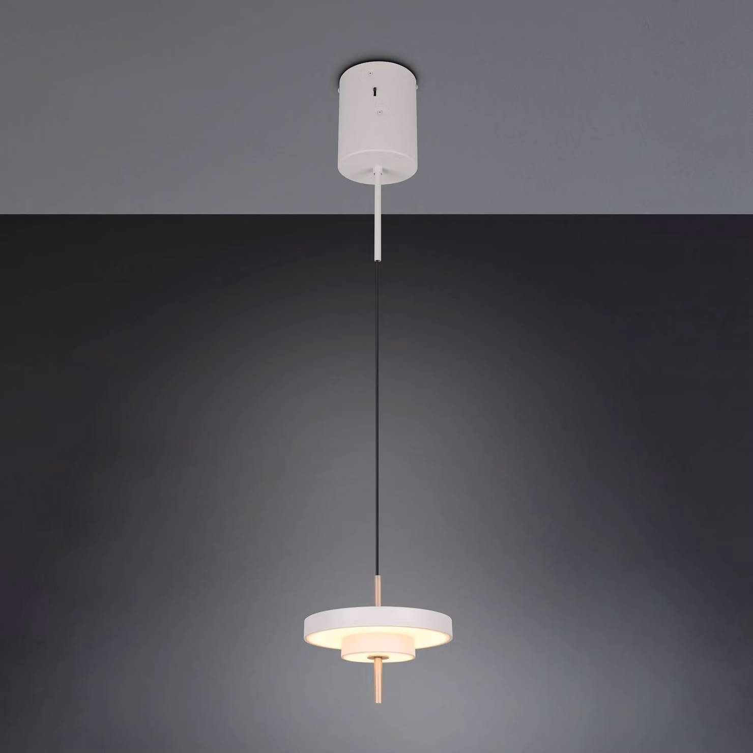 Trio Lighting Lampada LED a sospensione Keaton, grigio chiaro, Ø 20 cm, metallo, CCT dimmerabile, Alluminio / Grigio / Zincato, Soggiorno / Sala da pranzo, Metallo