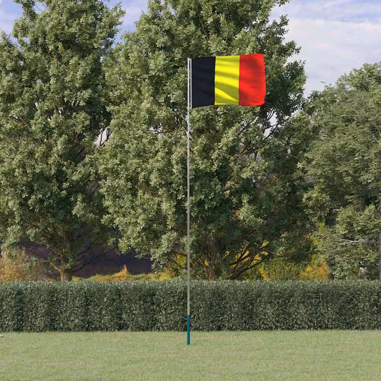 vidaXL Asta e Bandiera del Belgio in Alluminio e Poliestere, 5,5 m, Argento e Multicolore
