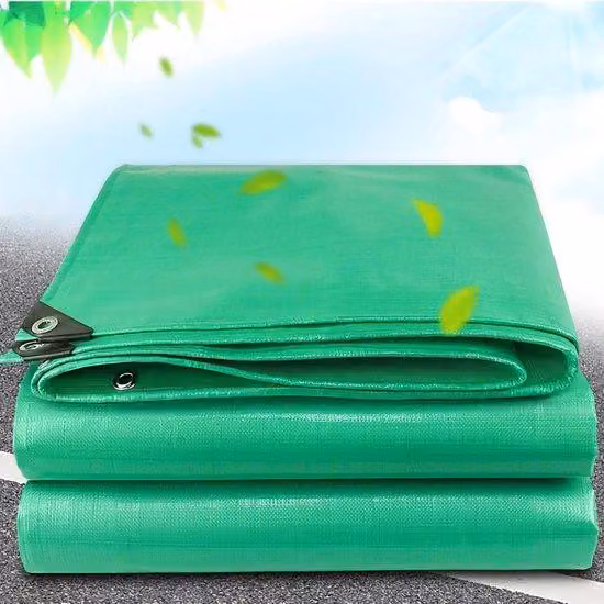 Telone per giardino - Materiale PE impermeabile - 6x8 m - Verde