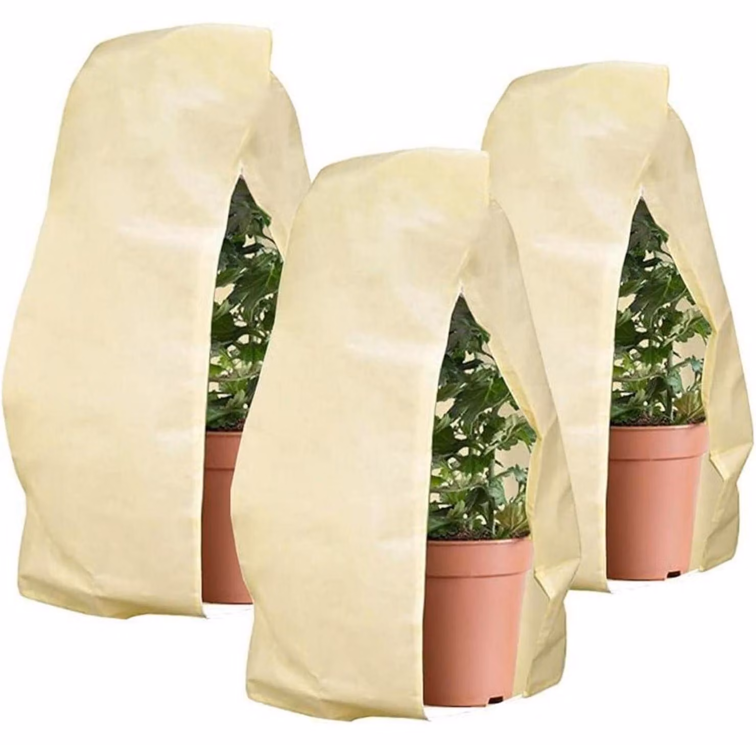 Copertura protettiva invernale per piante, forma a tenda, 80 x 100 cm, color beige, confezione da 3 pezzi
