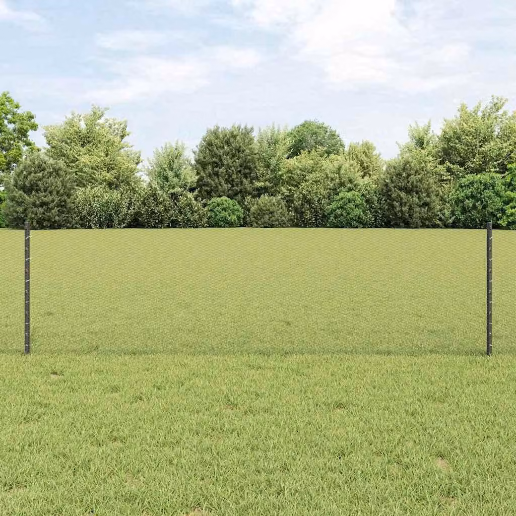 Maison Exclusive - Recinzione con paletto Grigio 0,6 x 25 m Acciaio e PVC