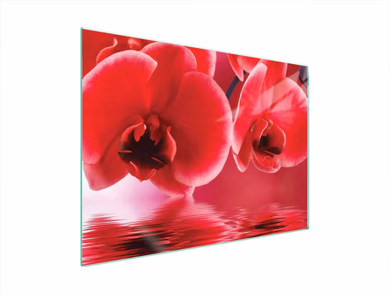 Piastra Protettiva In Vetro Per Orchidea 70X52
