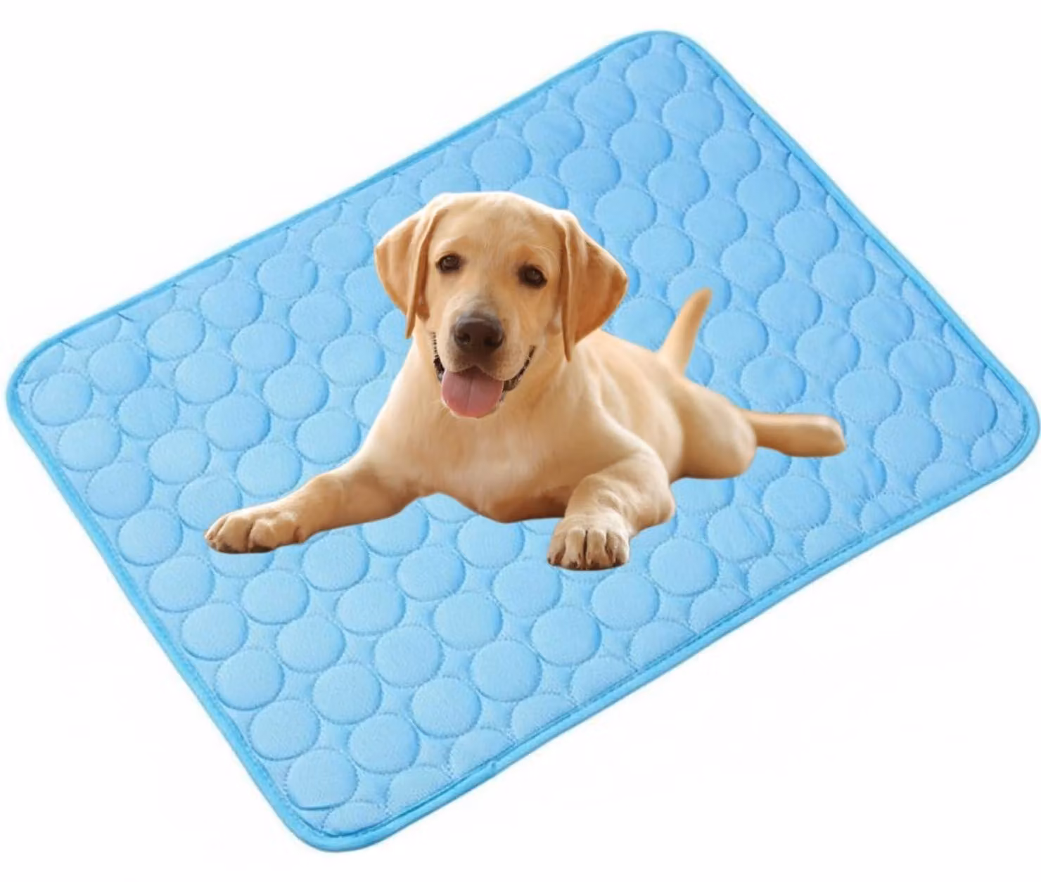 Tappetino refrigerante per cani e gatti, 70x55 cm, autorigenerante, colore blu