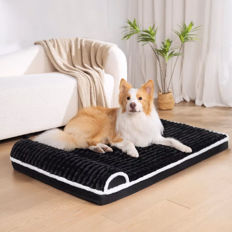 Cuccia ortopedica per cani, taglia XL, realizzata in schiuma viscoelastica, dimensioni 106 x 71 cm, impermeabile, ideale per cani di grossa taglia