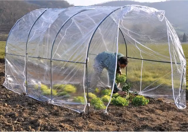 Serra da orto Tunnel IPERBRIKO in acciaio e PVC trasparente L 300 x P 200 x H 175 cm