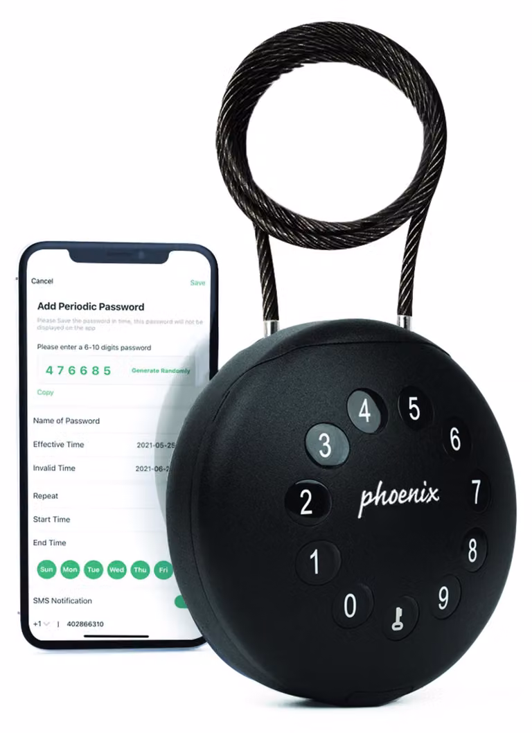 Phoenix Palm KS0212EC Armadietti portachiavi con serratura elettronica e cavo di sicurezza