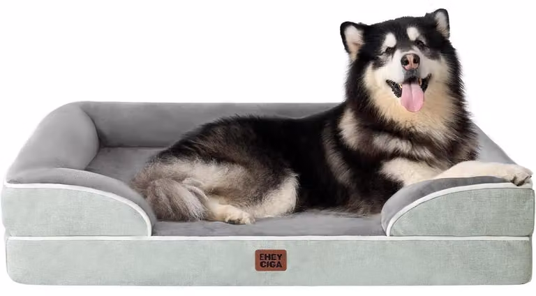Cuccia ortopedica per cani, taglia XXL, 132x104 cm, realizzata in memory foam, colore verde grigio, lavabile, impermeabile e antiscivolo