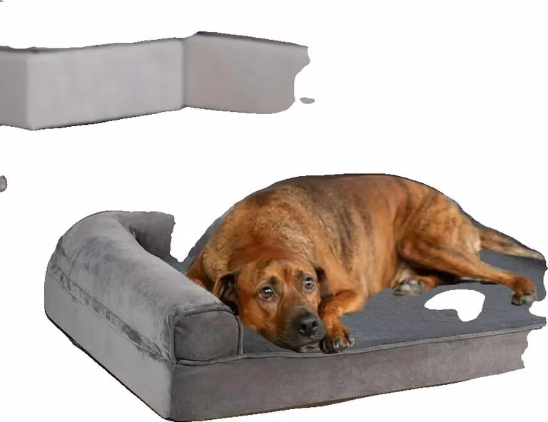 Letto ortopedico per cani, taglia XXL, rivestimento lavabile