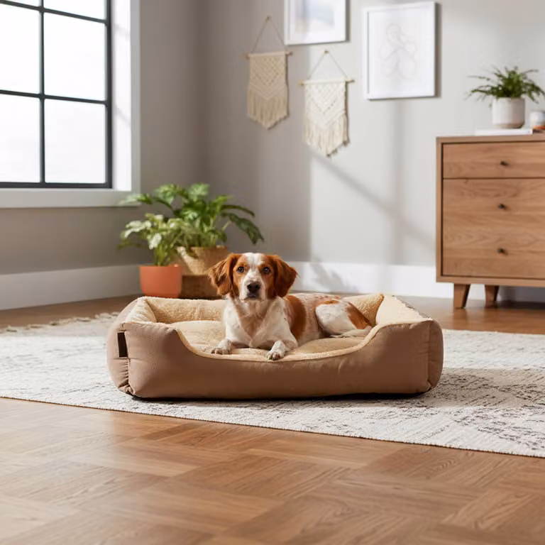 belviona, cuccia per cani con accogliente cuscino reversibile, facile da pulire e antiscivolo, luogo accogliente per dormire, 75x60 cm, marrone/beige