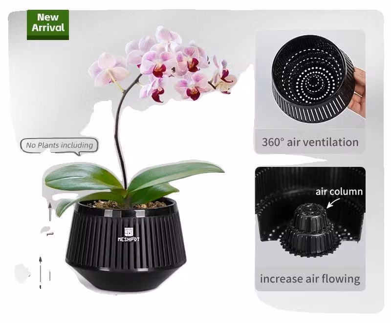 Vaso per orchidee, design a sezione aerea, estetica moderna, nero – 1 pz. 12 cm