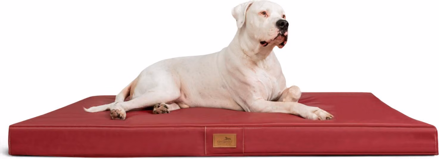 tierlando® OSCAR VISCO materassino ortopedico per cani in Pelle finta - dimensioni: 100x80cm | colore: 04 rosso scuro