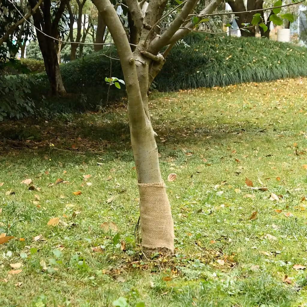 Rotolo in Iuta vidaXL Beige, 0,25 x 25 m, 200 gsm