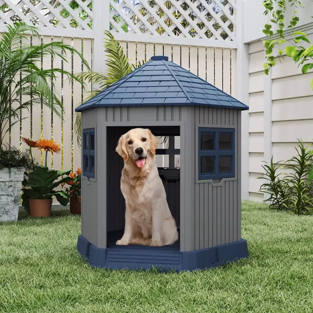 Cuccia per cani da esterno in stile fienile con 2 finestre e lucernario, resistente alle intemperie e ideale per giardino o terrazzo – 2