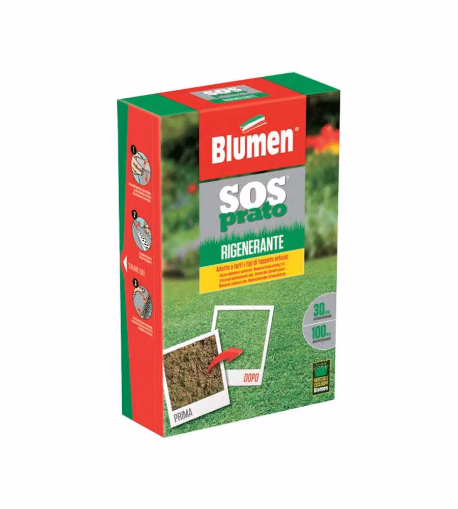 Blumen Semi Prato Rigenerante Verde 200 gr - Rigenera Tappeti Erbosi