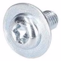 Vite a testa bombata Torx per Martelli perforatori BOSCH PROFESSIONAL - 160343509H
