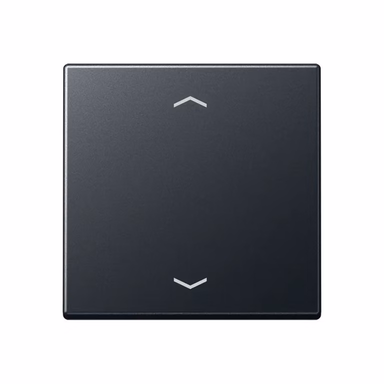 Jung A1700BFPANM Pulsante di comando con frecce standard