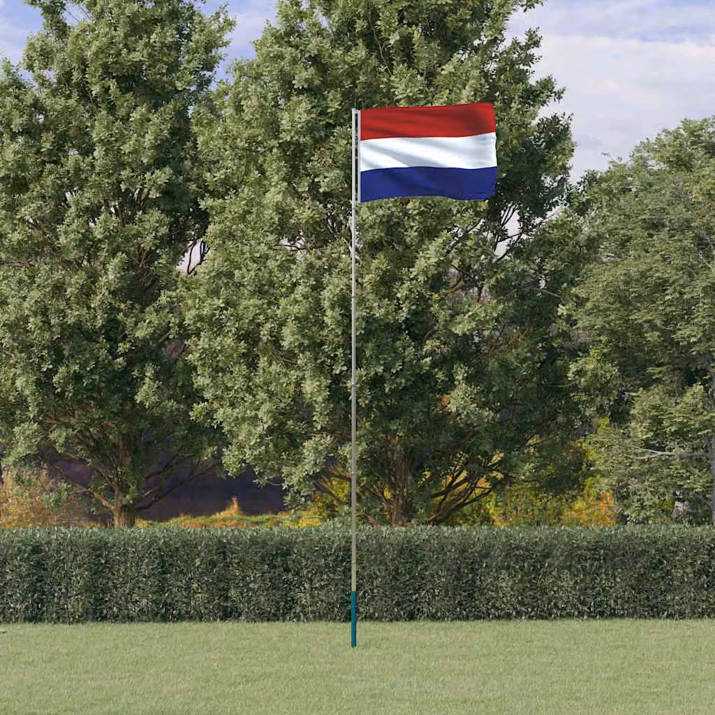 vidaXL Asta e Bandiera Olanda in Alluminio e Poliestere, Colore Argento e Multicolore, Altezza: 5,5 m