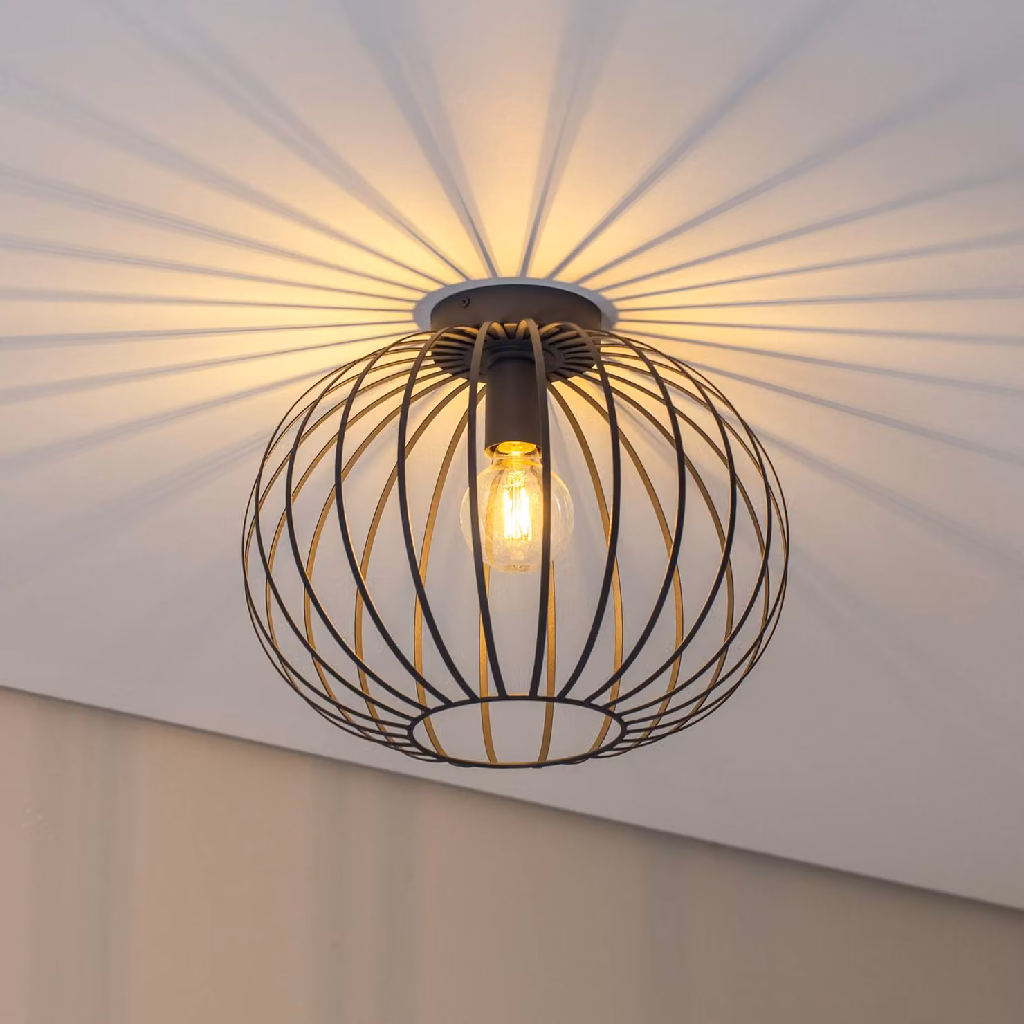 Plafoniera soffitto Valor Argon, dimmerabile, Nero, Soggiorno / Sala da pranzo, Metallo, Moderno, Plafoniera