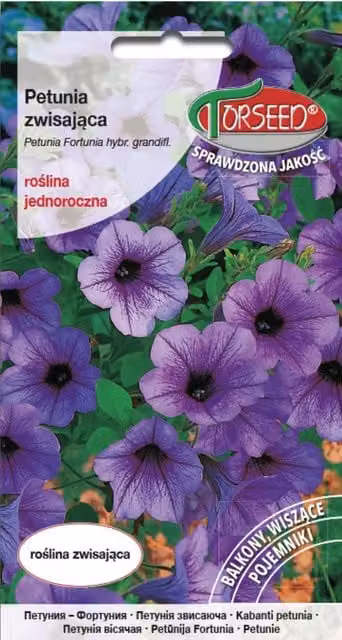 Petunia pendente Fortunia - Petunia hybrida pendula viola 0,02 g