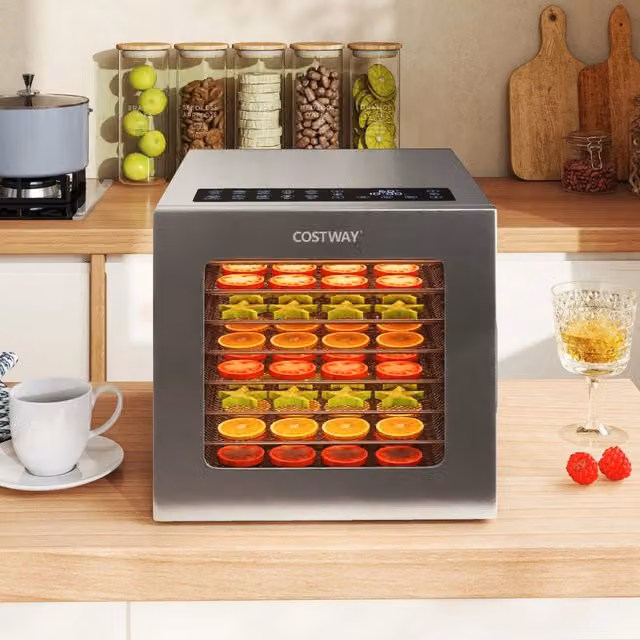 Essiccatore per frutta da 850W con timer 48 ore, Controllo temperatura 35¡æ-75¡æ per carne Argento