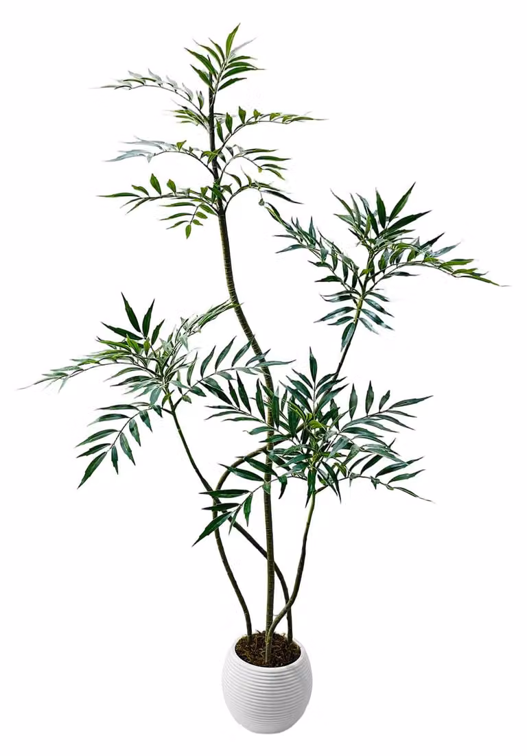 Albero artificiale in gomma - Altezza 210 cm - Senza manutenzione, ideale per interni