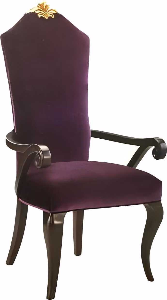 Stuhl Stühle Thron Sessel Set Esszimmer Designer Holz Antik Stil Barock Rokoko
