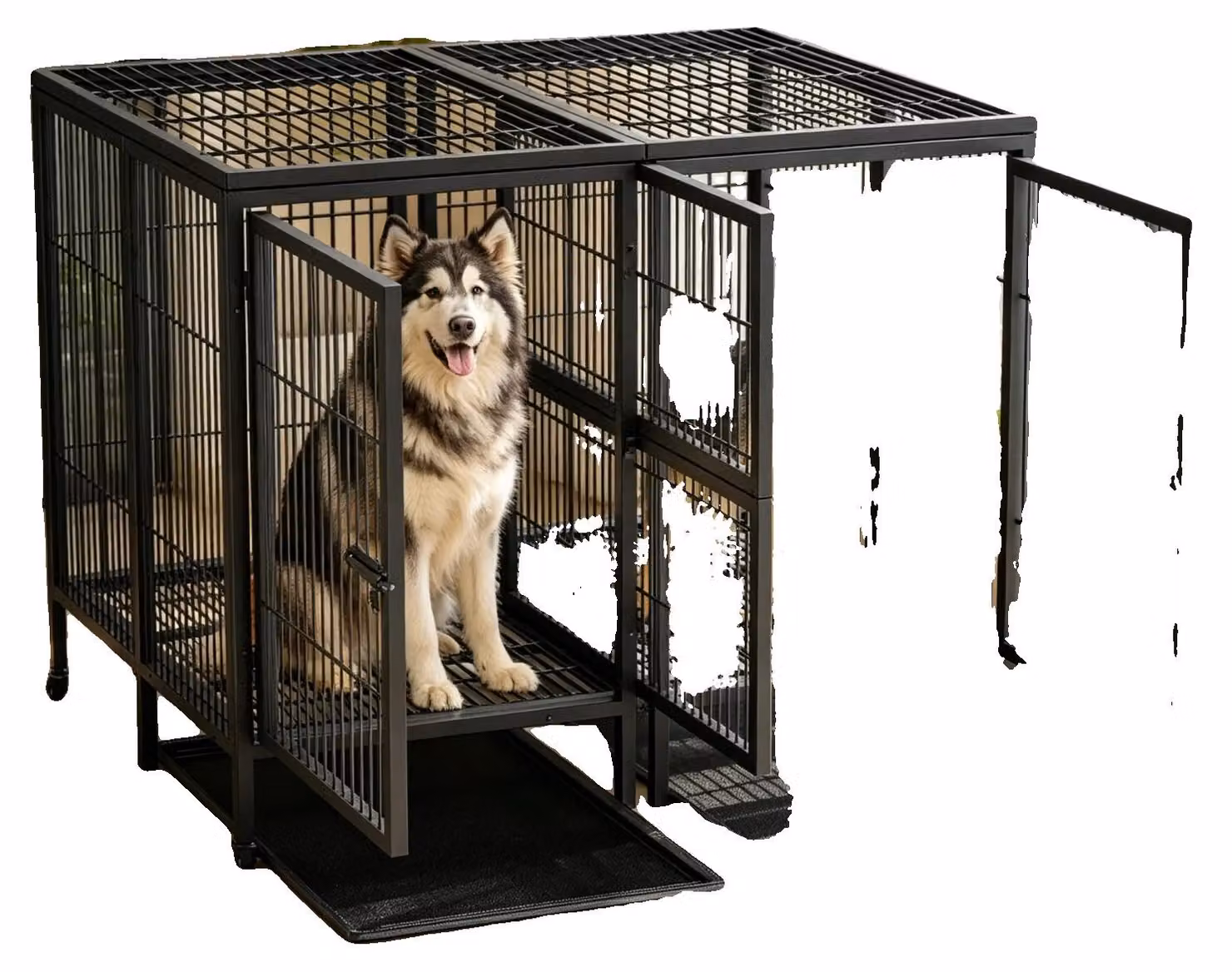 Gabbia per cani, costruzione robusta, accesso tramite doppia porta, colore nero