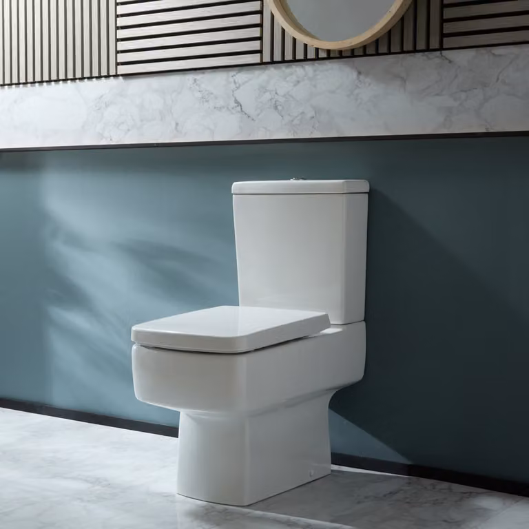 Sanitario Monoblocco Moderno Sedile Soft-Close Con Pulsante Cromato - Sandford