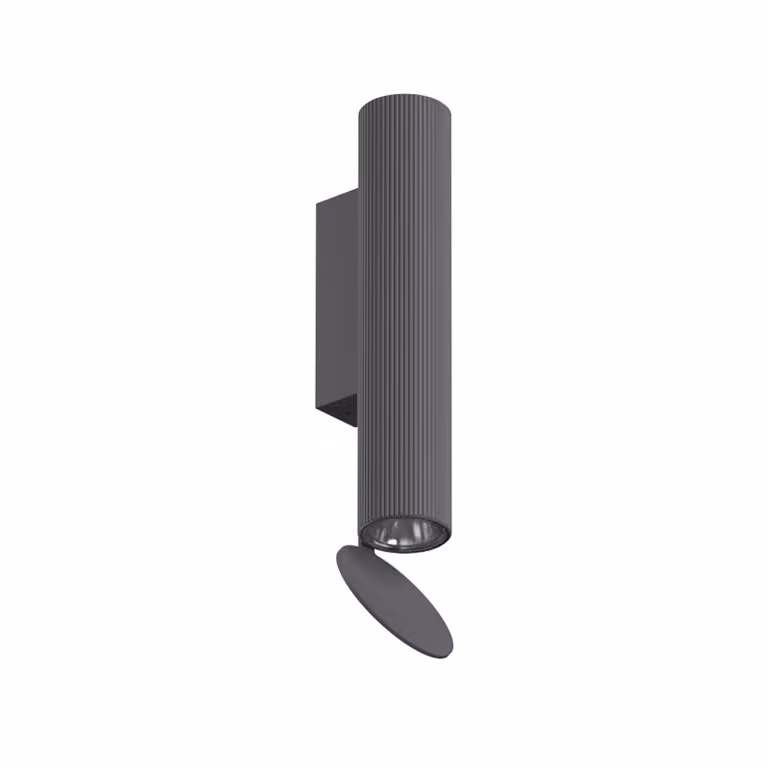 Flos - Flauta Riga 1 Dimmable DALI - Lampada da parete o soffitto da esterno - Antracite