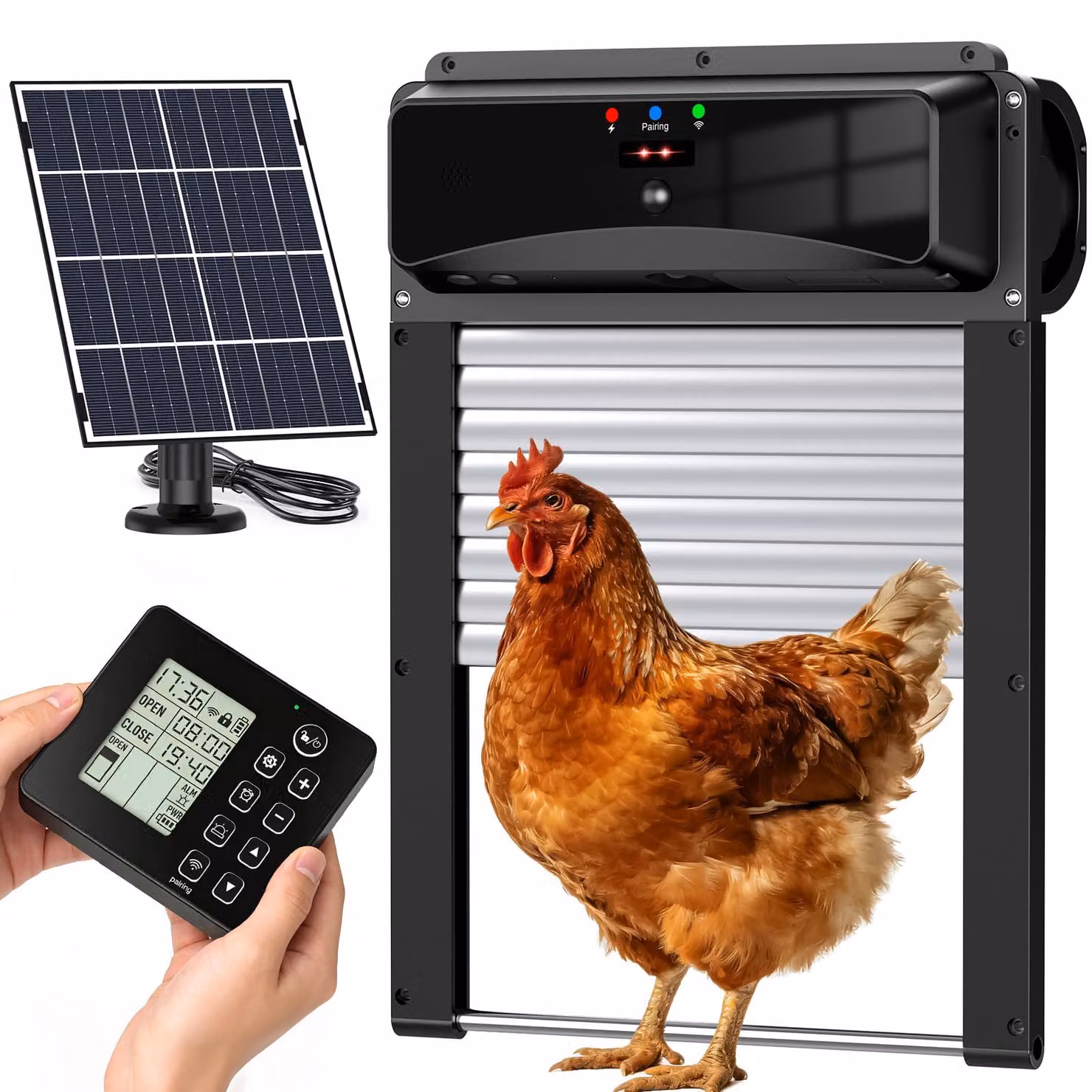 Portello automatico per pollame alimentato a energia solare, con telecomando wireless a 120 metri