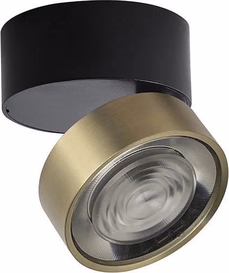 Hole Applique e Plafoniera LED Rossini Group in Alluminio Oro, 13W 3000K IP20