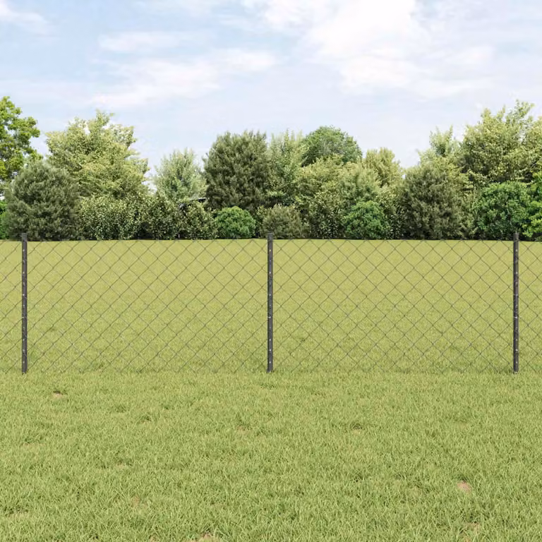 Maison Exclusive - Recinzione con paletto Grigio 0,6 x 25 m Acciaio e PVC