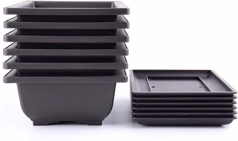 Solidchoice - Set di 6 vasi per bonsai con vaschetta profonda e griglia